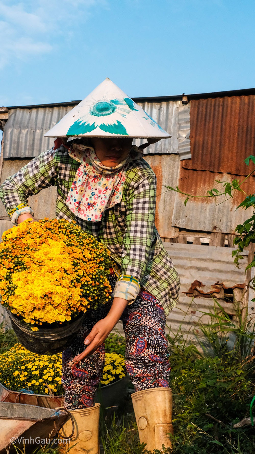 Vinh Gấu - Làng Hoa Sa Đéc